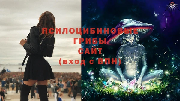 spice Туринск